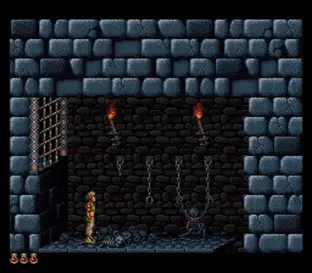 Image n° 8 - screenshots  : Prince of Persia