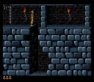 Image n° 7 - screenshots  : Prince of Persia