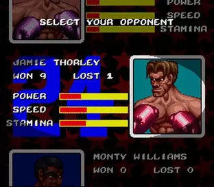 Image n° 7 - screenshots  : Riddick Bowe Boxing