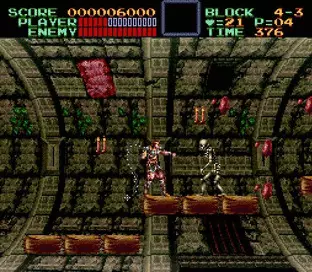 Image n° 3 - screenshots  : Super Castlevania IV