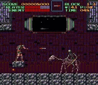 Image n° 5 - screenshots  : Super Castlevania IV