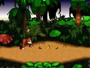 Image n° 1 - screenshots  : Super Donkey Kong