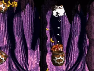 Image n° 2 - screenshots  : Super Donkey Kong