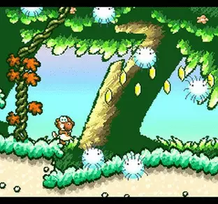 Image n° 9 - screenshots  : Super Mario World 2 - Yoshi's Island