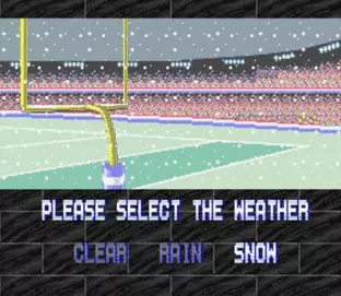 Image n° 7 - screenshots  : Tecmo Super Bowl (Beta)