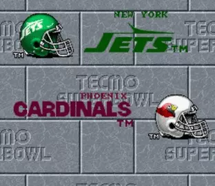 Image n° 6 - screenshots  : Tecmo Super Bowl (Beta)