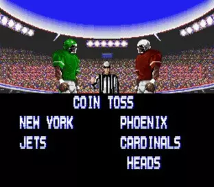 Image n° 5 - screenshots  : Tecmo Super Bowl (Beta)