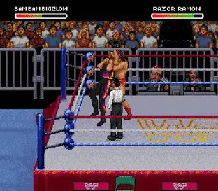 Image n° 5 - screenshots  : WWF Raw