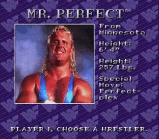 Image n° 8 - screenshots  : WWF Royal Rumble