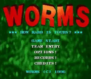Image n° 9 - screenshots  : Worms