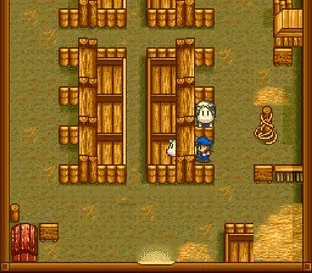 Image n° 6 - screenshots  : Harvest Moon