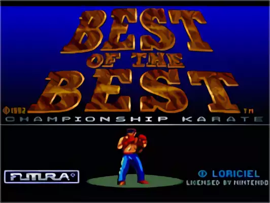 Image n° 10 - titles : Best of the Best - Championship Karate