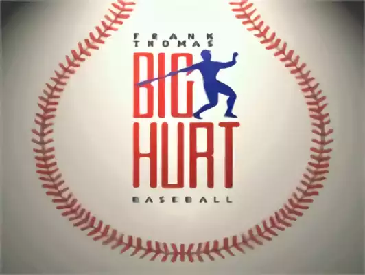 Image n° 4 - titles : Frank Thomas' Big Hurt Baseball