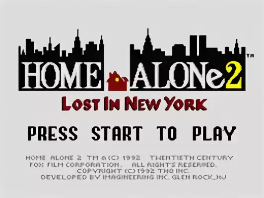 Image n° 10 - titles : Home Alone 2 - Lost in New York