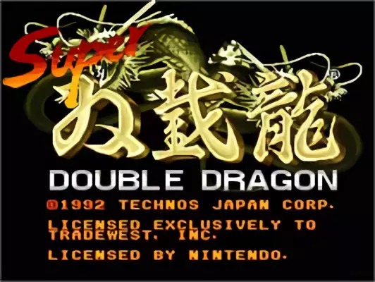 Image n° 10 - titles : Super Double Dragon