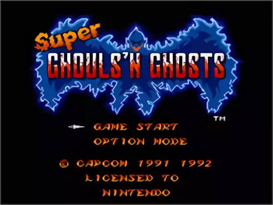 Image n° 10 - titles : Super Ghouls 'N Ghosts