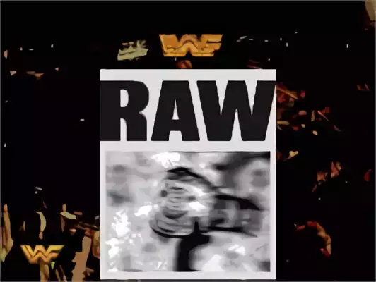 Image n° 10 - titles : WWF Raw